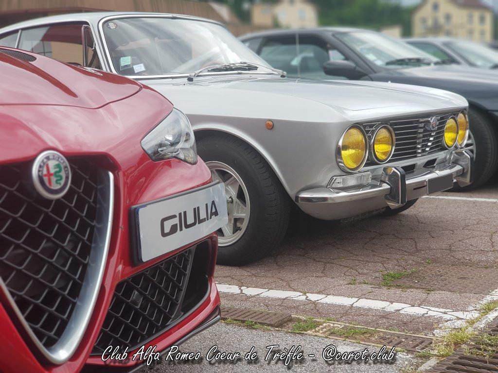 acvi2019_009.jpg